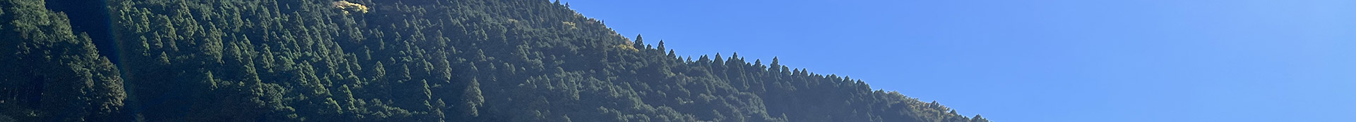 ���₢���킹