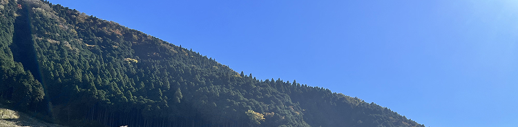 ���₢���킹